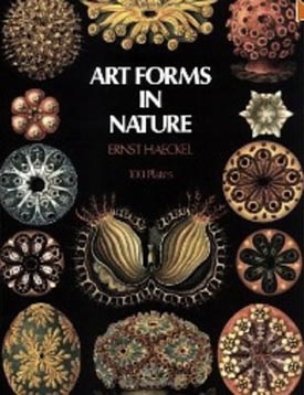 Art Forms in Nature by Ernst Haeckel